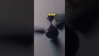 After Long Time #trendingshorts #youtubeshorts #funny #hmshorts #trending