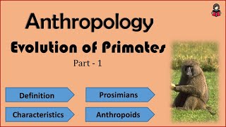 Evolution of Primates (Part 1) || UPSC ||  NET||