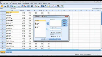 Como fazer análise de cluster no SPSS?
