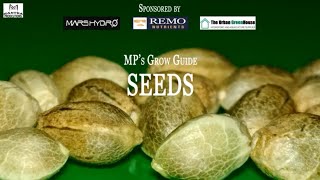 Cannabis Seeds | MP Grow Guide