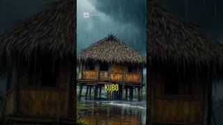 Discover the Ingenious Bahay Kubo: Filipino Houses on Stilts!