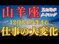 山羊座♑️【12月&1月生まれ】これからの仕事の流れ💫💫