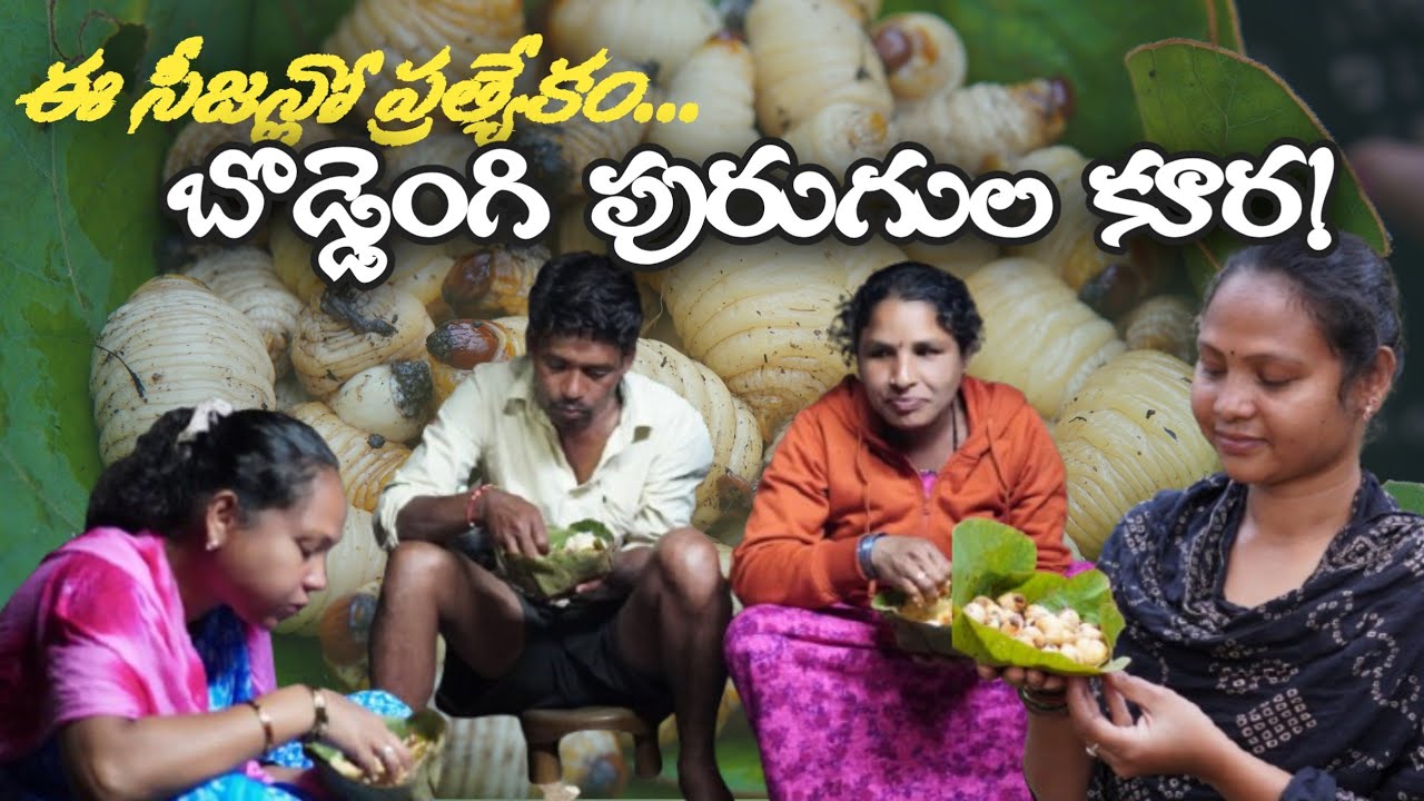 Ancient super food: How the tribes have eaten this for generation #boddengi purugulu (Sago Grubs)