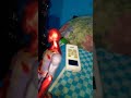Pobre spiderman