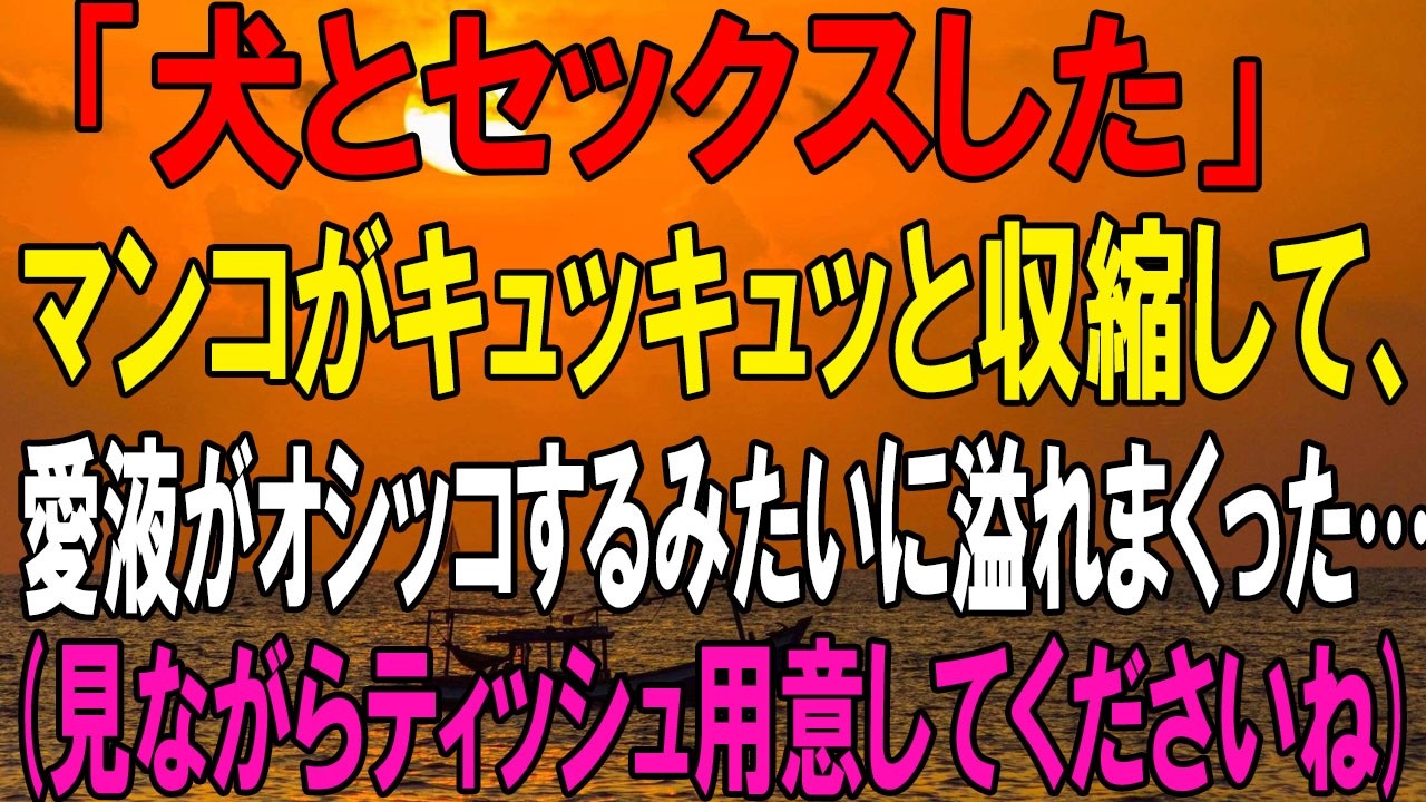 私は犬を飼うことを本当に楽しんでいます。