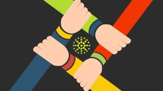 Storelevel.com Retail Audit And Storecheck In México