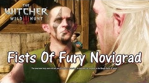 The Witcher 3 - Fists of Fury: Novigrad "The Tailor" [1440p 60FPS RAW Shadowplay]