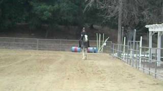 Anna Cantering Slate.avi