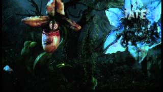 Mat Collishaw – Sordid Earth | TateShots screenshot 2