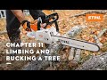 Chapter 11: Limbing and Bucking a Tree