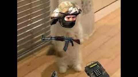 Cs source in nutshell