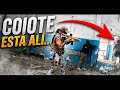 Airsoft - Coiote e Ghost jogando em conjunto - R.A.T