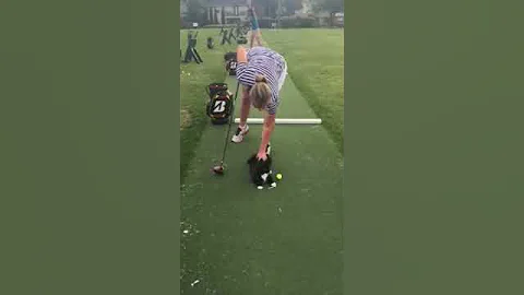 Cat on the Driving Range