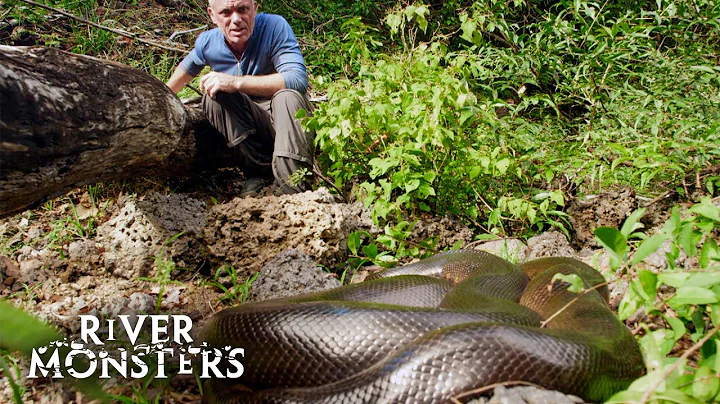 The Best Of Snakes: Anaconda, Krait, Viper! | River Monsters