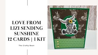 Love From Lizi Sending Sunshine | 12 Cards | 1 Card Kit