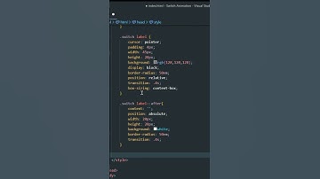 How To Make Switch Input Animation? | Html Css