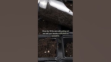 Transform Tin Cans into Chic Planters