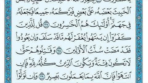 سورة الانفال الشيخ ماهر المعيقلي (بدون اعلانات)