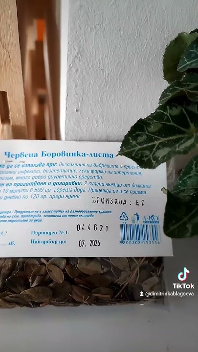 билката червена боровинка при възпаление на бъбреци, простата бактер ...