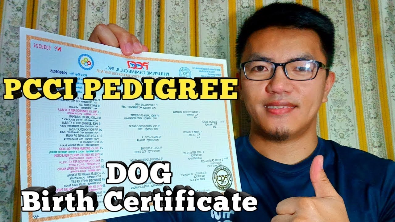 how to get dog birth certificate