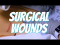 Surgical wound care  nurse skill demo