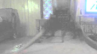 TVideo 00072