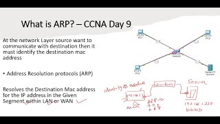 CCNA 200-301 Full Course in Tamil Day 9 - How Address Resolution protocol (ARP) Works