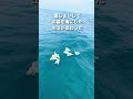 大分の墓じまい海洋散骨