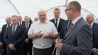 Лукашенко шутит про синие пальцы: Нет чтобы подсказал вовремя!