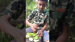 ඈඹරැල්ලා මේ විදිහට කාල තියෙනවද ? sort viral fruits gewaththa