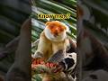 Looks Like a Teddy Bear… But the Truth Will Shock You! #trending #animals
