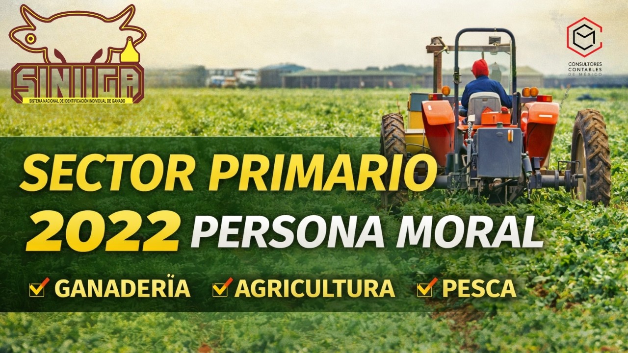 AGAPES PERSONA MORAL ✅ CURSO PRACTICO