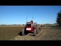 International 1568 plowing