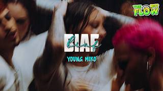 Young Miko - BIAF (Letra)