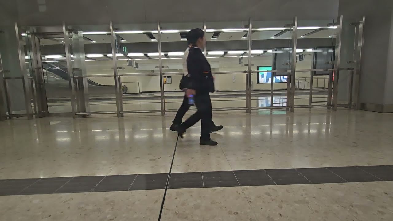 [丙午馬年第一條片]港鐵動感號G5812次 CRH380A-0252車香港西九龍至福田行車片段