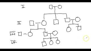 Lab 11 - Intro to Pedigrees