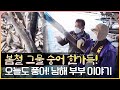 배 하나로 동업하는 부부!! 이젠 환상호흡이닷!!! 남해는 매일이 보물창고네~ ^^ 보물상자와 같은 남해 앞바다 아귀는 사이즈가 대박이야! #남해 #숭어 #아귀