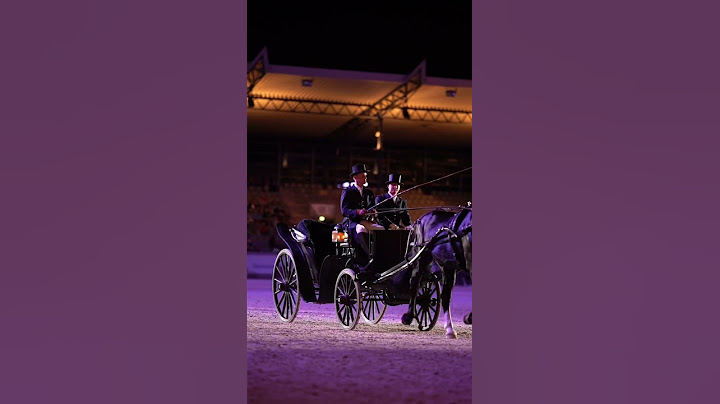 Was für eine Show! 🤩🐴 Gänsehaut bei Pferd & Sinfonie! 😍✨ #shorts