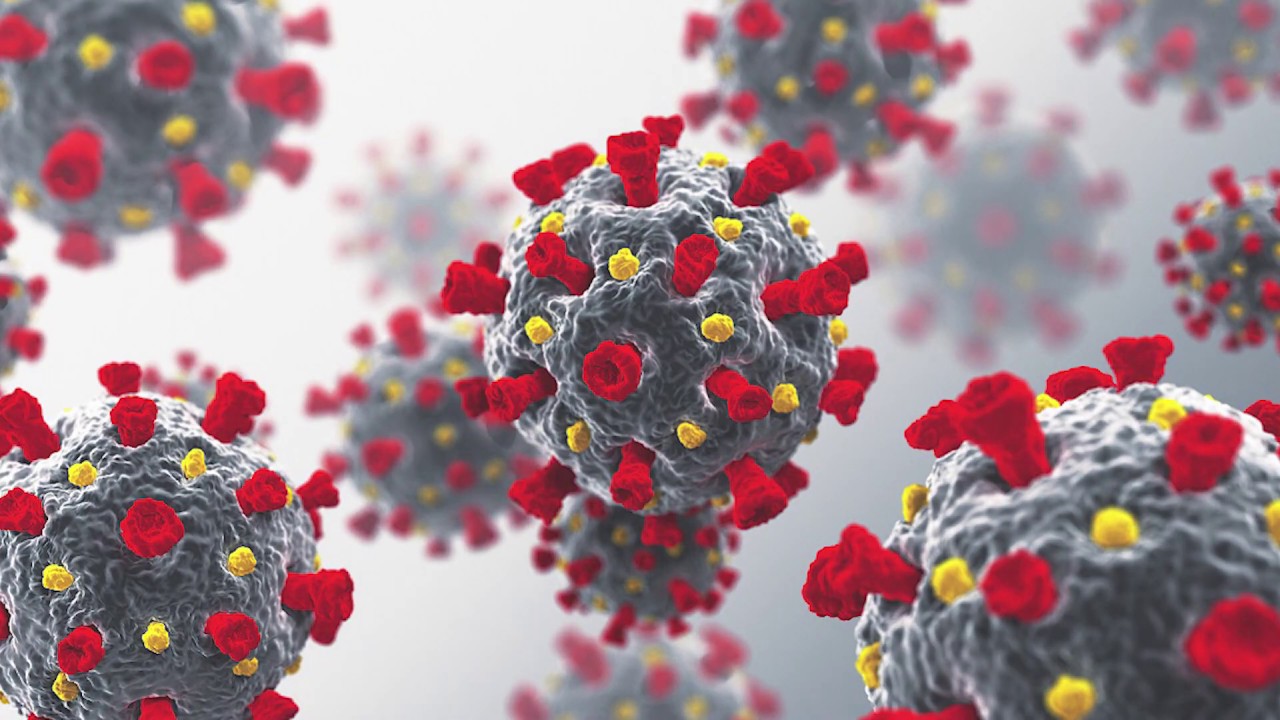 LHSC gradually expands clinical services during the pandemic