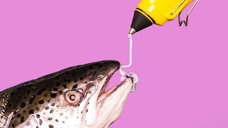 42 CRAZY KITCHEN HACKS THAT WILL CHANGE THE WAY YOU COOK