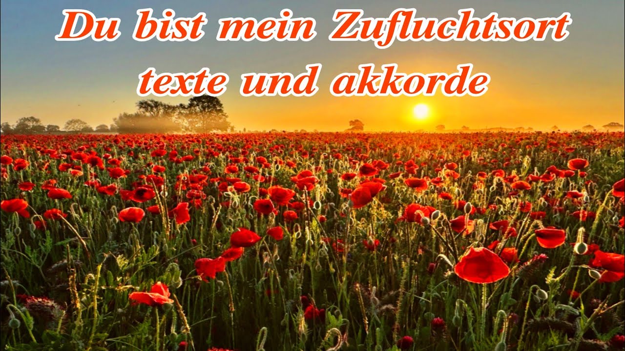 Du bist mein Zufluchtsort texte und akkorde |You Are My Hiding Place German Version @liliputklein 