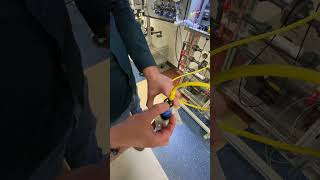 IMG 1479