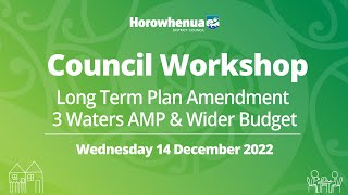 Celebrity Council Workshop -  Long Term Plan Amendment - 3 Waters AMP & Wider Budget -  14 December 2022 Wealth