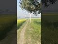 मेरा गांव #minivlog #shorts #video