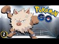Primeape...gonna Wish you had one for Kanto Cup...