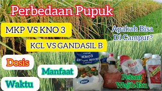 Perbedaan Dan Keunggulan Pupuk MKP,KNO3,KCL Dan Gandasil Buah.Dosis,Waktu Dan Manfaat Buat Tanaman.