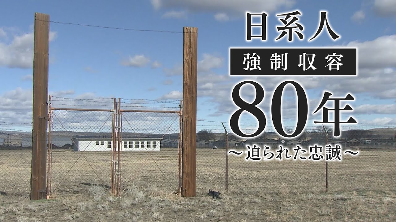 «Стоит ли мне отказаться от верности Императору?» Принудительная лояльность Америке: 80 лет интер...