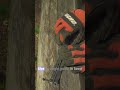 How to sharpen a chainsaw chain.