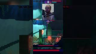 UM PEIXE GIGANTE TÁ PERSEGUINDO! #shorts