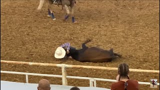 2024 River City Rodeo Steer Wrestling and Stunt Rider